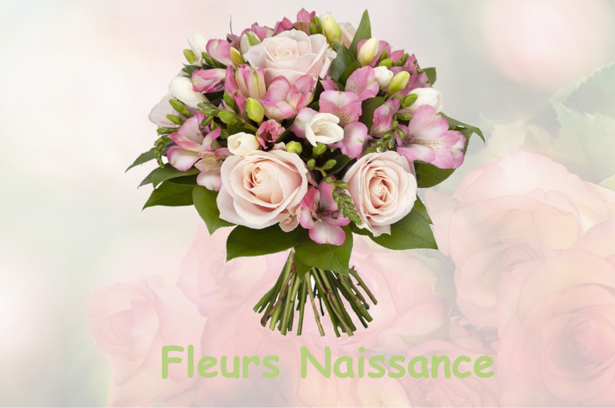 fleurs naissance FROIDEVILLE