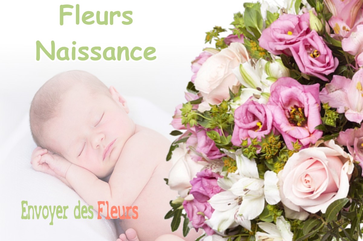 lIVRAISON FLEURS NAISSANCE à FROIDEVILLE